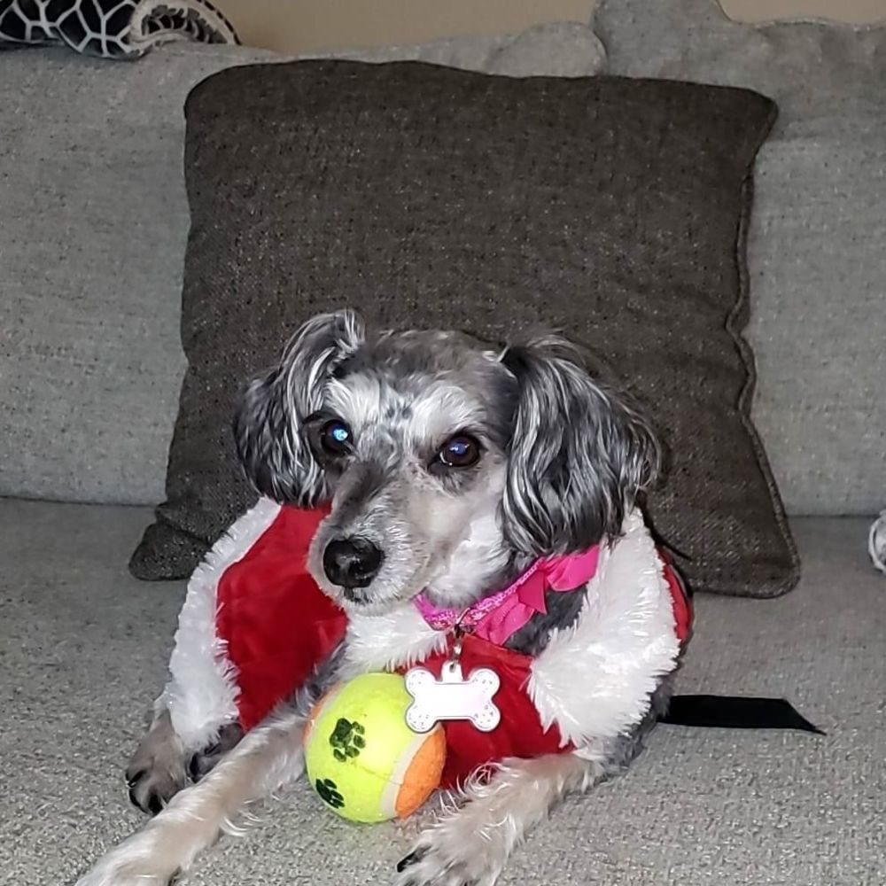 Meet your Posher, Tee